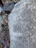 image of grave number 369021